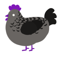 A grey and sable chicken with a half-lace pattern