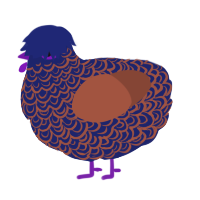 A navy and russet chicken with a double-lace pattern