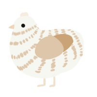 A white and beige chicken with a bar pattern
