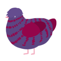 A overcast and maroon chicken with a bar pattern