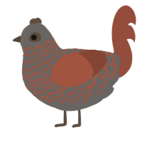A grey and russet chicken with a lace pattern