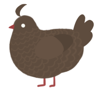 A bark chicken with a lace pattern
