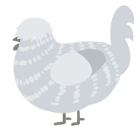 A mist chicken with a bar pattern