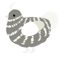 A ash and white chicken with a bar pattern