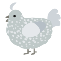 A silver and mist chicken with a speckle pattern