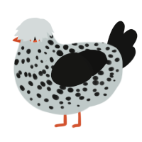 Cute, a silver and black chicken with a speckle pattern