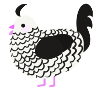 A white and sable chicken with a lace pattern