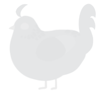 A sable chicken with a neck-speckle pattern