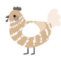 A beige and cream chicken with a bar pattern