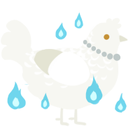 A white chicken with a half-lace pattern