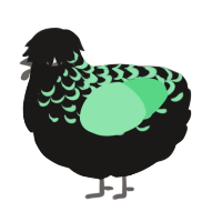 A sable and spring chicken with a half-lace pattern