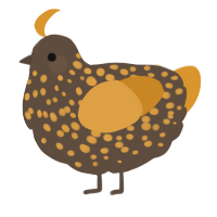 A bark and orange chicken with a speckle pattern