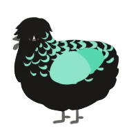 A sable and mint chicken with a half-lace pattern