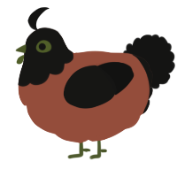 A russet and black chicken with a head pattern