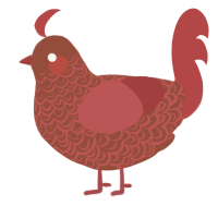 A russet and red chicken with a double-lace pattern