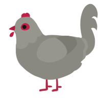 (unnamed), a ash chicken with a head pattern