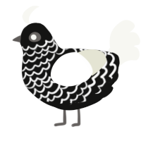 A black and white chicken with a lace pattern