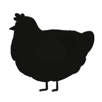 A black chicken with a lace pattern