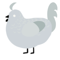 A mist and silver chicken with a half-lace pattern