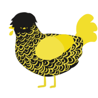 CAUTION, a sable and yellow chicken with a double-lace pattern