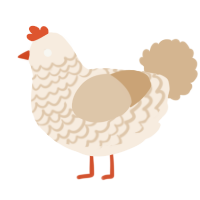 A cream and beige chicken with a lace pattern