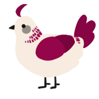 A cream and maroon chicken with a neck-band pattern
