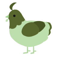 A gluppy and olive chicken with a head pattern
