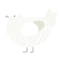 A white chicken with a lace pattern