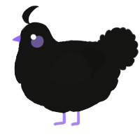A black chicken with a lace pattern