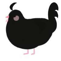 A black chicken with a double-lace pattern