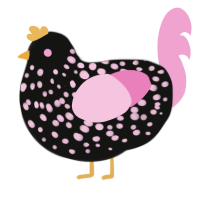 Rosé, a black and pink chicken with a speckle pattern