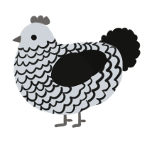 A mist and black chicken with a lace pattern