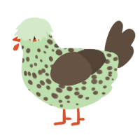 Atemoya, a gluppy and bark chicken with a speckle pattern