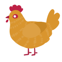 A orange chicken with a bar pattern