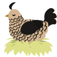A beige and sable chicken with a lace pattern