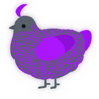 A grey and amethyst chicken with a double-lace pattern