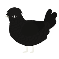 A sable and black chicken with a lace pattern