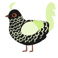 A sable and apple chicken with a lace pattern