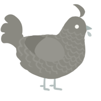 A ash chicken with a lace pattern