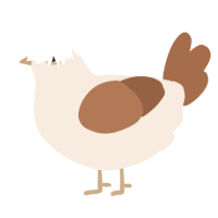 A cream and brown chicken