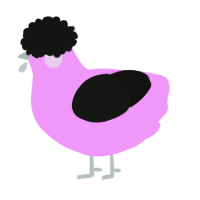 A lavender and black chicken