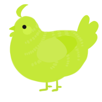 A lime chicken with a half-bar pattern