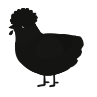 A black chicken with a head pattern