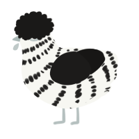 A white and sable chicken with a bar pattern