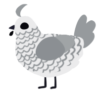 Helter Skelter, a black and grey chicken with a lace pattern