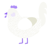 A white chicken with a double-lace pattern