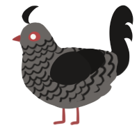 A little emo, a grey and sable chicken with a lace pattern