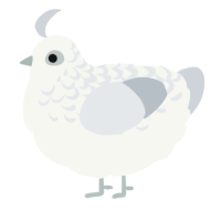 A white and mist chicken with a half-lace pattern