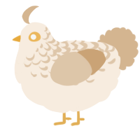 A cream and beige chicken with a half-lace pattern