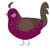 A wine and bark chicken with a half-lace pattern